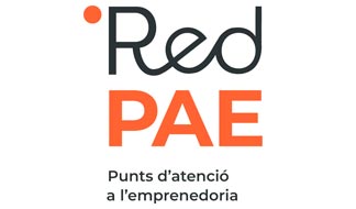 Logo Punt PAE